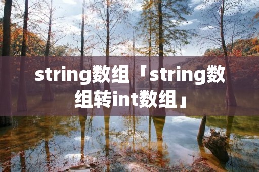string数组「string数组转int数组」 string数组「string数组转int数组」