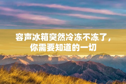 容声冰箱突然冷冻不冻了，你需要知道的一切