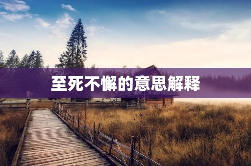 至死不懈的意思解释：坚持不懈，不达目的誓不罢休