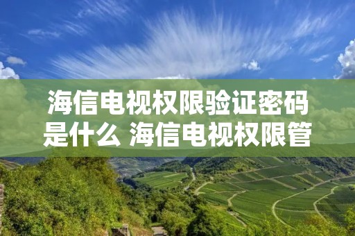 海信电视权限验证密码是什么 海信电视权限管理在哪里 海信电视权限验证密码是什么 海信电视权限管理在哪里
