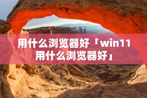 用什么浏览器好「win11用什么浏览器好」
