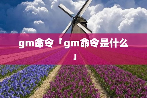 gm命令「gm命令是什么」