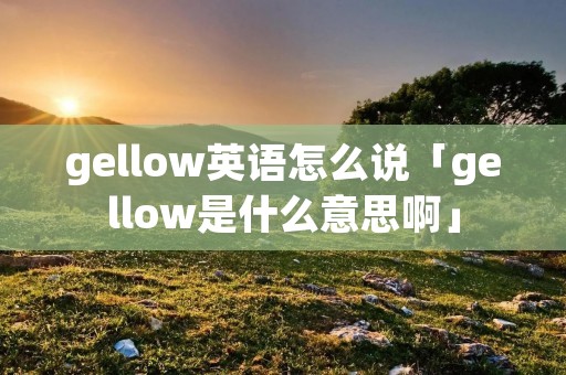 gellow英语怎么说「gellow是什么意思啊」