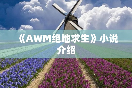 《AWM绝地求生》小说介绍