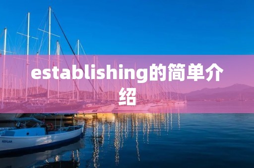 establishing的简单介绍