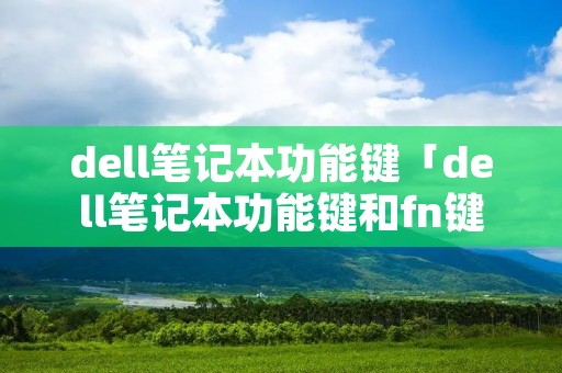 dell笔记本功能键「dell笔记本功能键和fn键切换」 dell笔记本功能键「dell笔记本功能键和fn键切换」