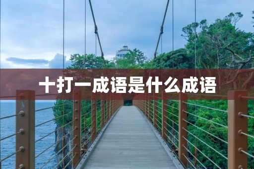 十打一成语是什么成语