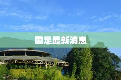 国足最新消息：成功闯入世界杯12强赛