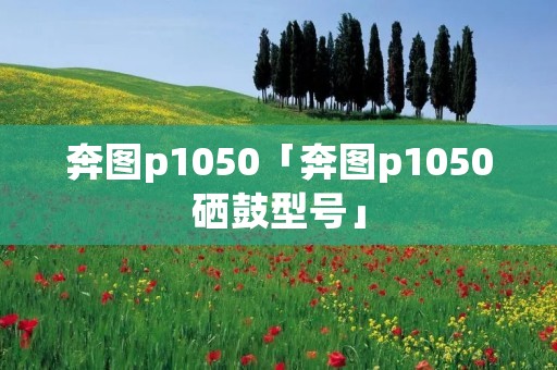 奔图p1050「奔图p1050硒鼓型号」 奔图p1050「奔图p1050硒鼓型号」