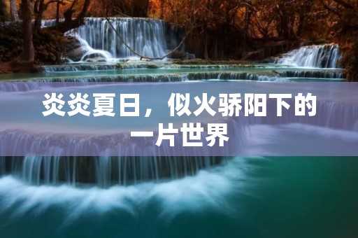 炎炎夏日，似火骄阳下的一片世界