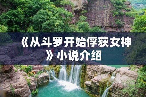 《从斗罗开始俘获女神》小说介绍