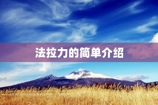 法拉力的简单介绍 法拉力的简单介绍