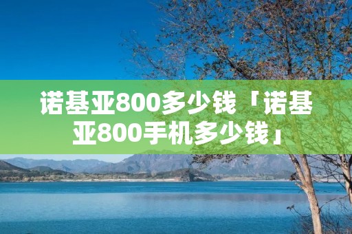 诺基亚800多少钱「诺基亚800手机多少钱」