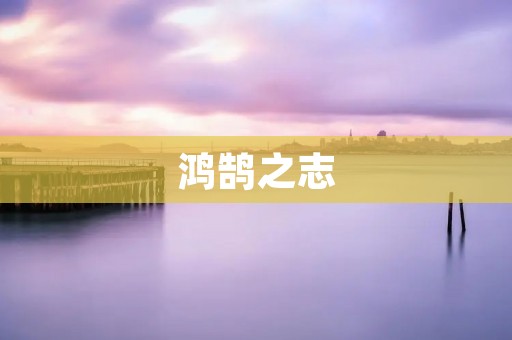 鸿鹄之志：追寻卓越的人生意义