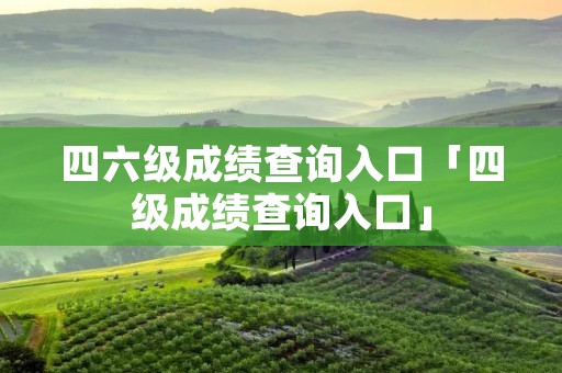 四六级成绩查询入口「四级成绩查询入口」