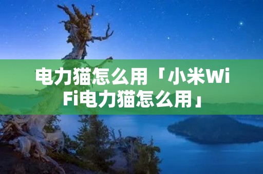 电力猫怎么用「小米WiFi电力猫怎么用」 电力猫怎么用「小米WiFi电力猫怎么用」
