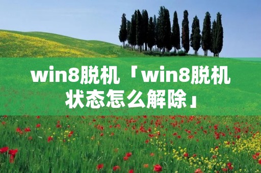 win8脱机「win8脱机状态怎么解除」