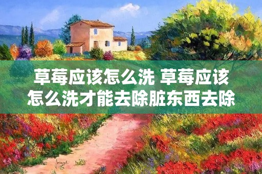草莓应该怎么洗 草莓应该怎么洗才能去除脏东西去除