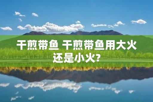 干煎带鱼 干煎带鱼用大火还是小火?