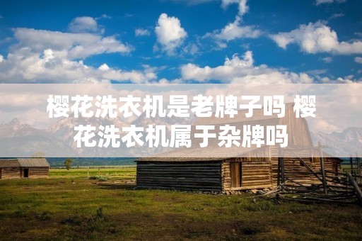 樱花洗衣机是老牌子吗 樱花洗衣机属于杂牌吗