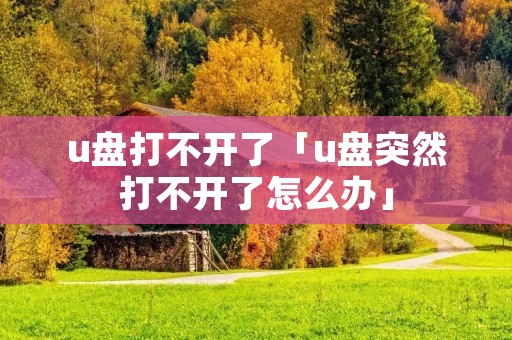 u盘打不开了「u盘突然打不开了怎么办」