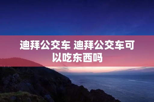 迪拜公交车 迪拜公交车可以吃东西吗 迪拜公交车 迪拜公交车可以吃东西吗