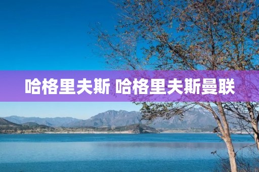 哈格里夫斯 哈格里夫斯曼联 哈格里夫斯 哈格里夫斯曼联