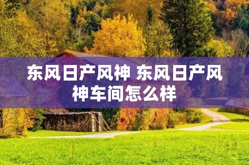 东风日产风神 东风日产风神车间怎么样