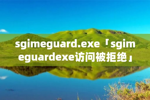 sgimeguard.exe「sgimeguardexe访问被拒绝」