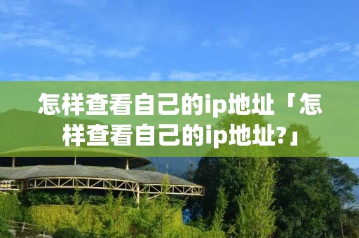 怎样查看自己的ip地址「怎样查看自己的ip地址?」
