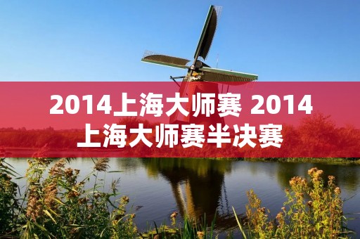 2014上海**赛 2014上海**赛半决赛