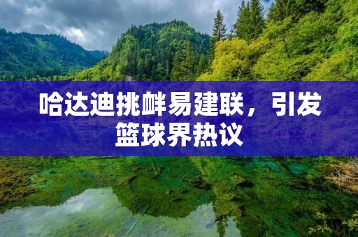 哈达迪挑衅易建联，引发篮球界热议