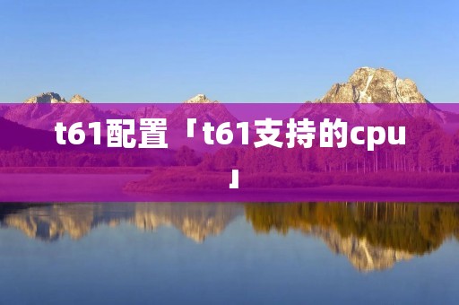 t61配置「t61支持的cpu」