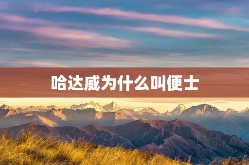 哈达威为什么叫便士 哈达威为什么叫便士