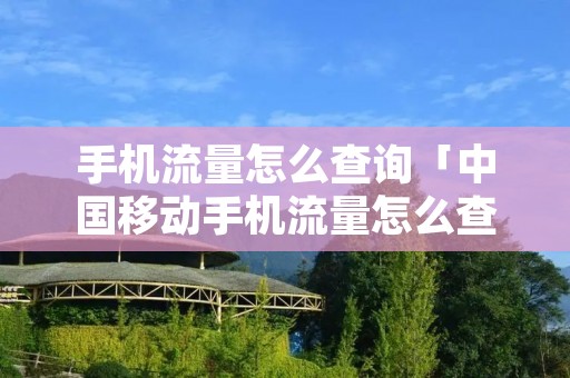 手机流量怎么查询「中国移动手机流量怎么查询」