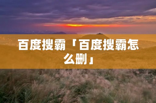 百度搜霸「百度搜霸怎么删」
