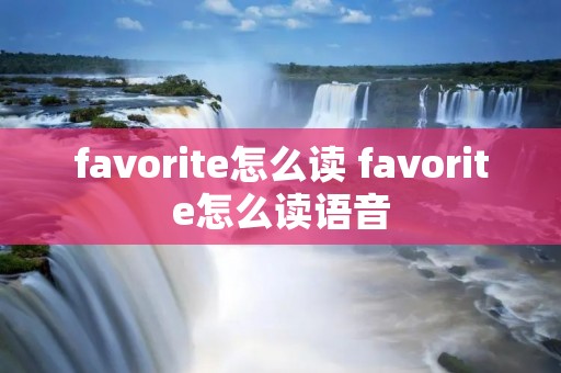 favorite怎么读 favorite怎么读语音 favorite怎么读 favorite怎么读语音