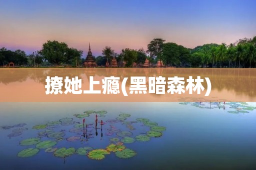 撩她上瘾(黑暗森林):一段深陷情感的危险之旅