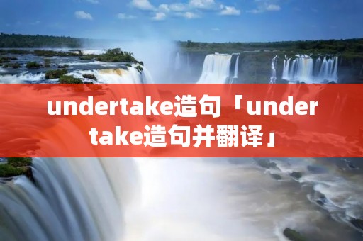 undertake造句「undertake造句并翻译」