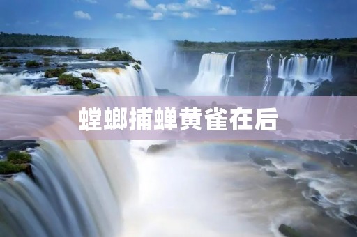 螳螂捕蝉黄雀在后:机会与风险并存的竞争之道