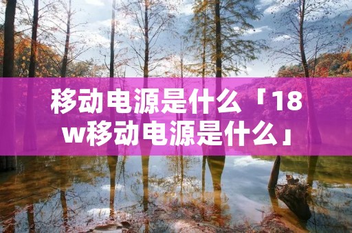 移动电源是什么「18w移动电源是什么」