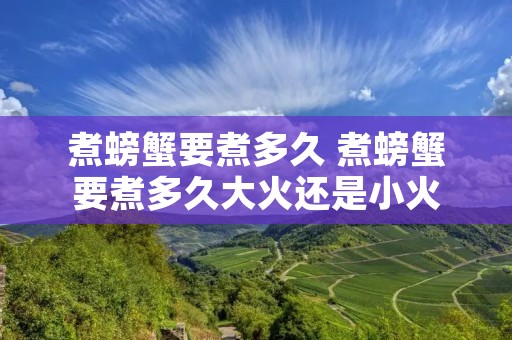 煮螃蟹要煮多久 煮螃蟹要煮多久大火还是小火