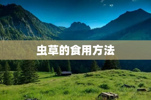 虫草的食用方法