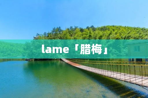 lame「腊梅」