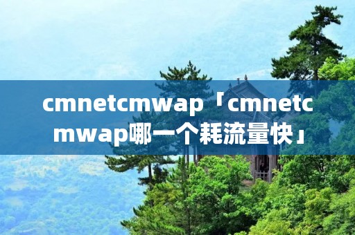 cmnetcmwap「cmnetcmwap哪一个耗流量快」 cmnetcmwap「cmnetcmwap哪一个耗流量快」
