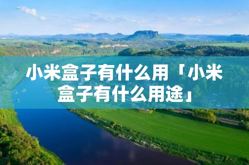小米盒子有什么用「小米盒子有什么用途」