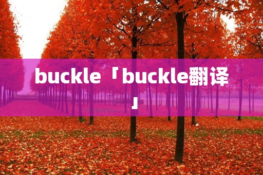 buckle「buckle翻译」