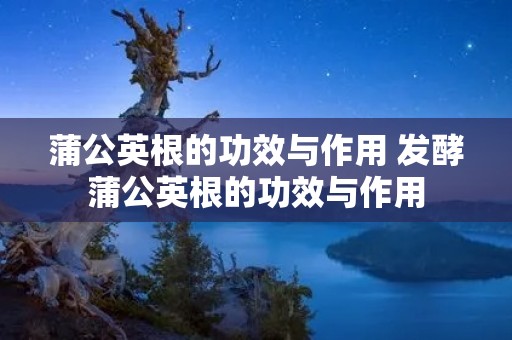 蒲公英根的功效与作用 发酵蒲公英根的功效与作用