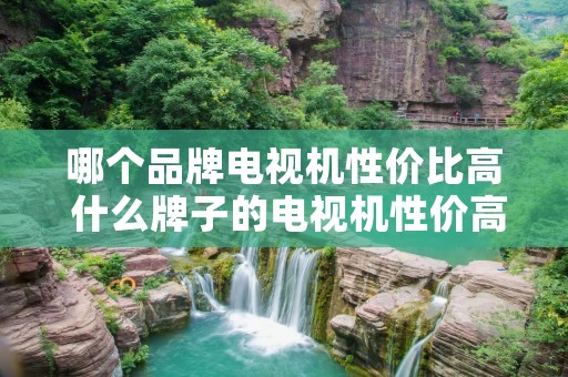 哪个品牌电视机性价比高 什么牌子的电视机性价高