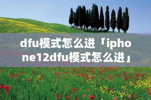 dfu模式怎么进「iphone12dfu模式怎么进」